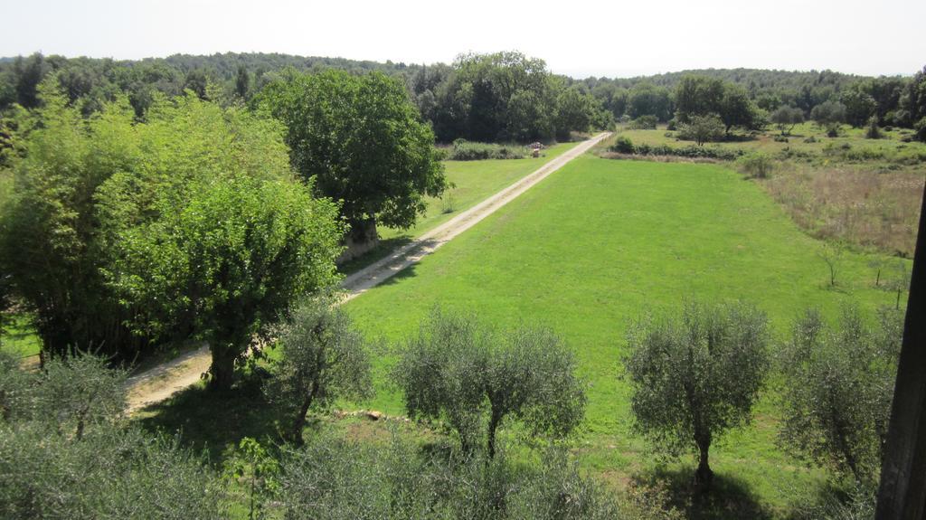 La Locaia Apartment Siena Luaran gambar